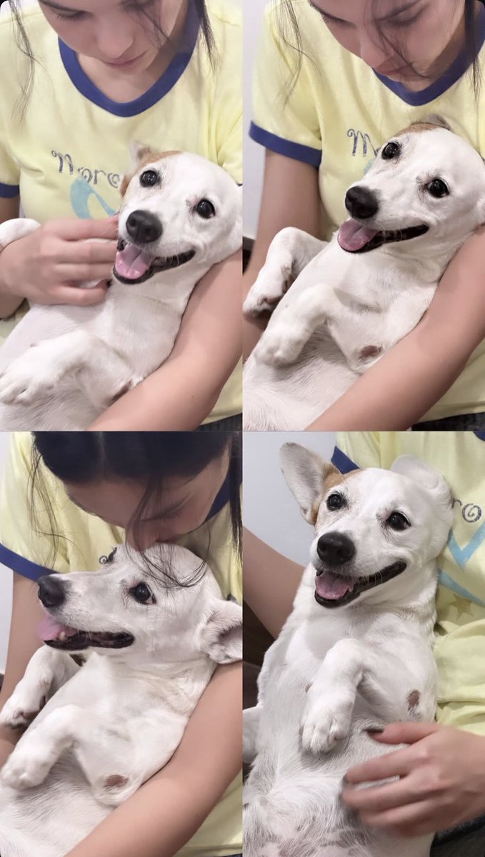 heyitsb00x's tweet photo. น่ารักจั้งงงงววงงงงงงงง https://t.co/19UJNQQq0o