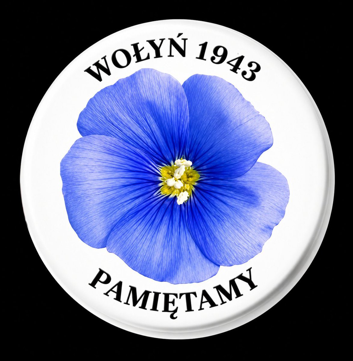 MichalGarus's tweet photo. #Pamiętamy https://t.co/Klni3DNMlF