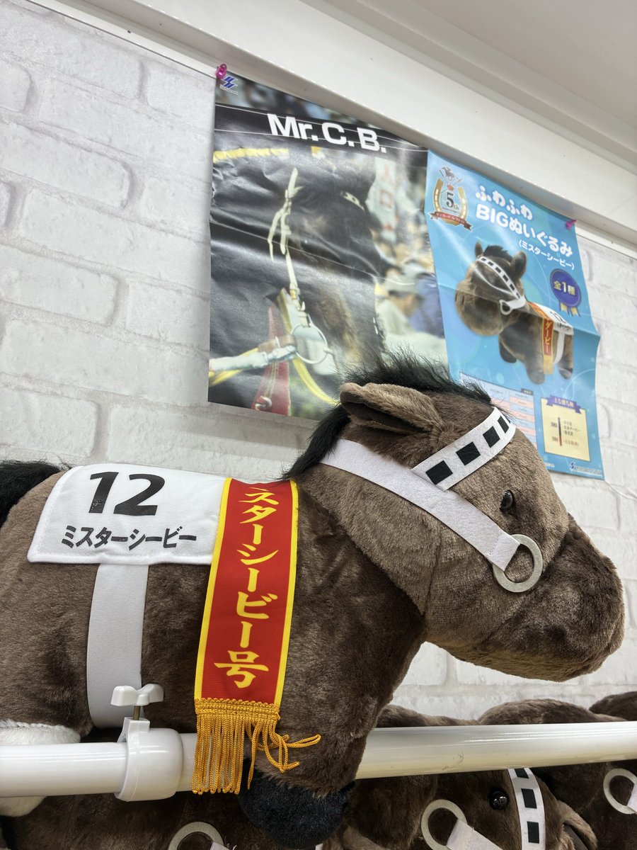 otachu_hitachi's tweet photo. ⭐️景品入荷情報⭐️

サラブレッドコレクション
ふわふわBIGぬいぐるみ
(ミスターシービー)

入荷しました！🐎 https://t.co/V5KhxHgeLo