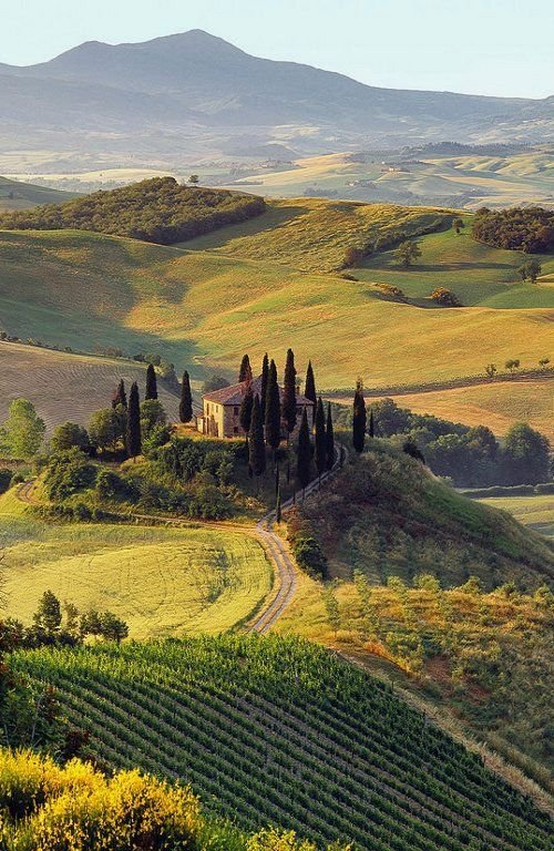 flower6260's tweet photo. Tuscany, Italy 🇮🇹 https://t.co/HxcQJYBvTu