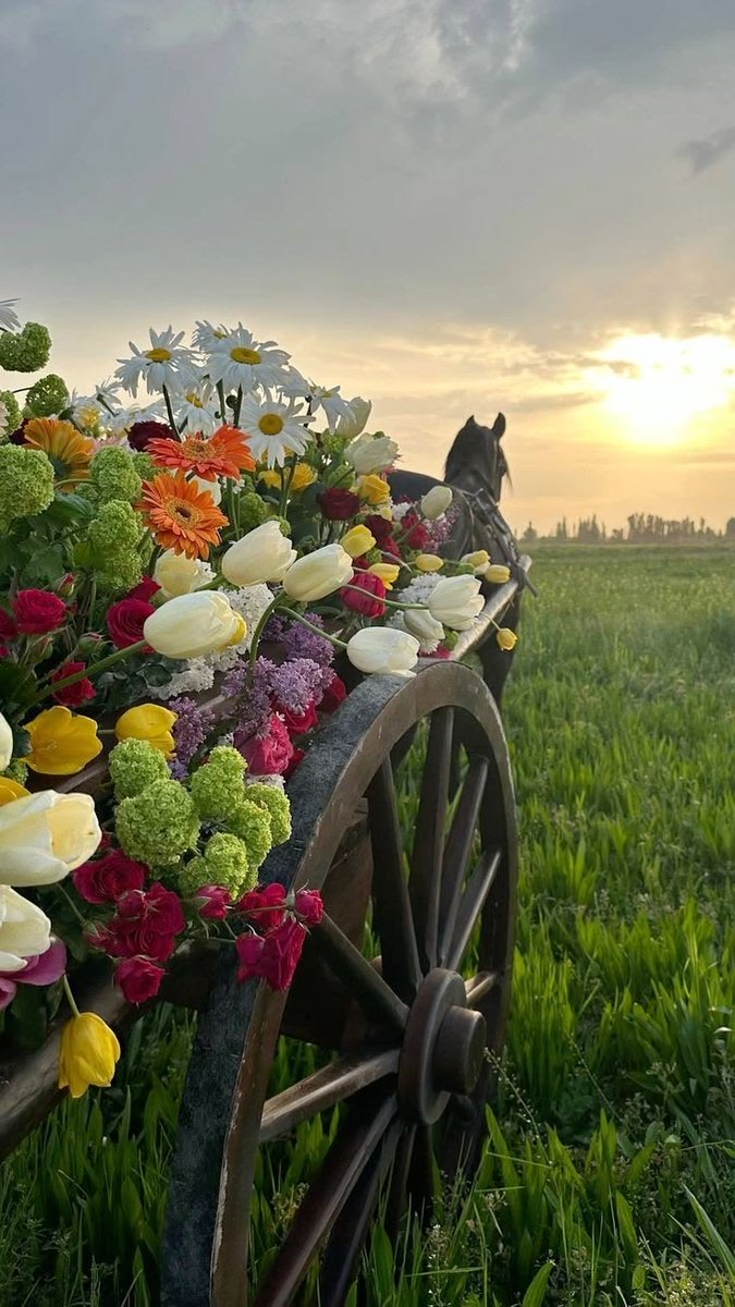 samar___r's tweet photo. #بوح_الصباح
لا تُشرق الشمس في باديء الأمر، إلاّ مِن رُوحك فالأيام مُتشابهه عدا أنّك من تُقرر إضفاء الحياة عليها ، أنت وحدك من تُدرك  مخبأ مسرّاتك و تركض باتجاهه… https://t.co/dyqDBzNjaU