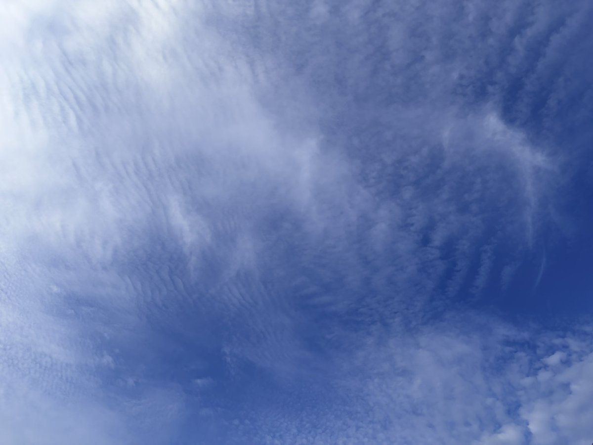 min_cury's tweet photo. #イマソラ

穏やかな週末タイム
のんびりを満喫しようと思います
よい週末を、 https://t.co/ZU2pFmz7RR