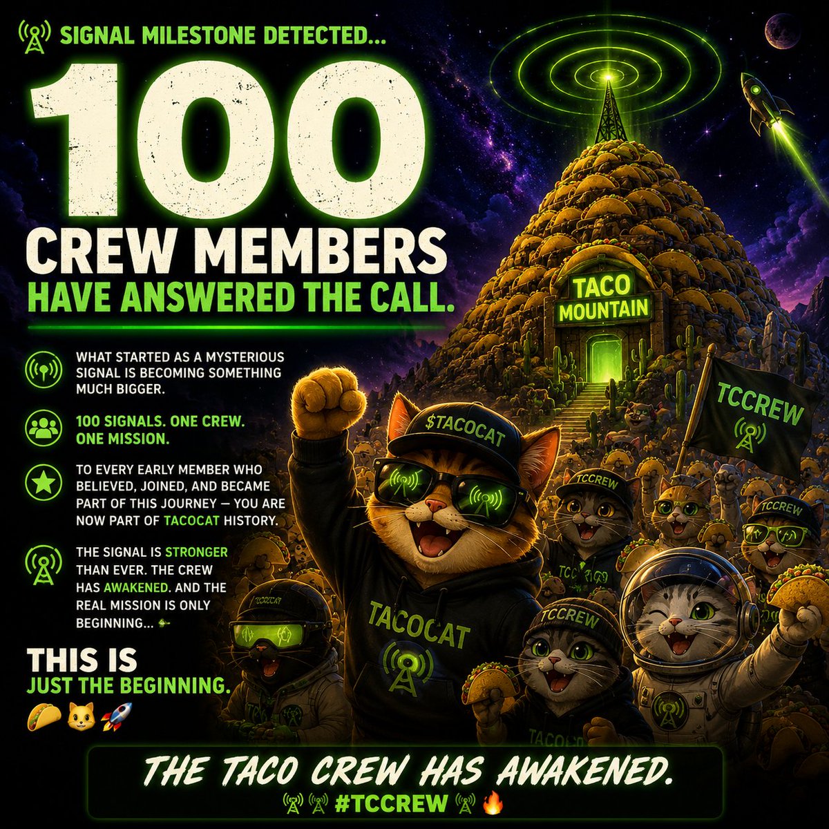 🌮TacoCat Coin tweet media
