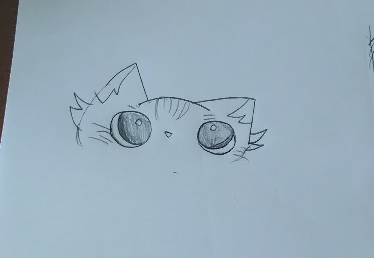 manbow_j's tweet photo. (=＾・-・＾=)🐾 https://t.co/UGN8C1eWJM