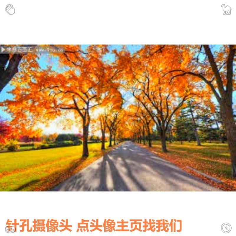 brodicam19's tweet photo. 🥥  考试设备 街拍抄底 探花手机

👮  Work until your idols become your rivals. 酒店偷拍 🧵

 @bananaa0012  👈六六【针孔摄像头】 https://t.co/rBod2fwrBo