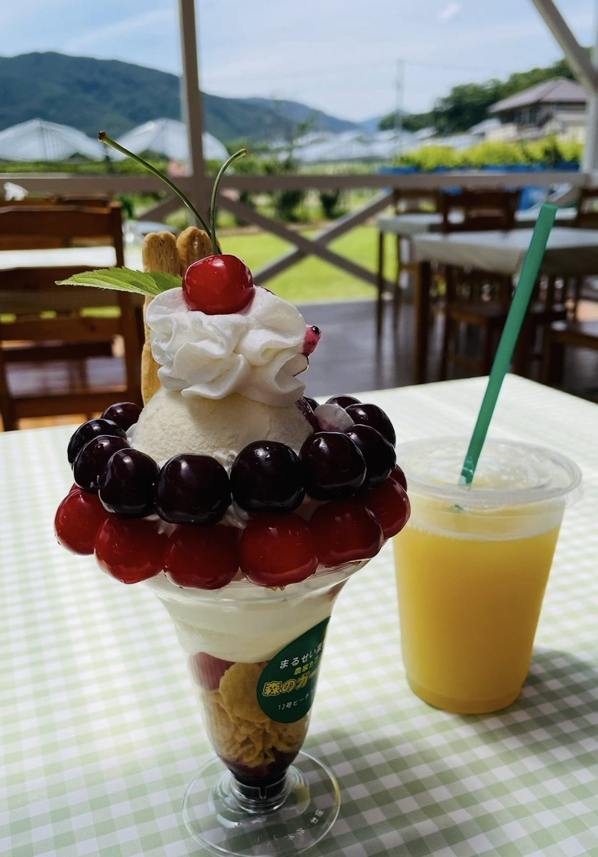 chonchonrinrin's tweet photo. まるせい果樹園の農家カフェ
”森のガーデン”さんで 
さくらんぼパフェ🍒
 #愛犬と旅行  #わんこ旅  #ポメラニアン
むぅ君 抱きしめたい... https://t.co/G50aM3zqmV