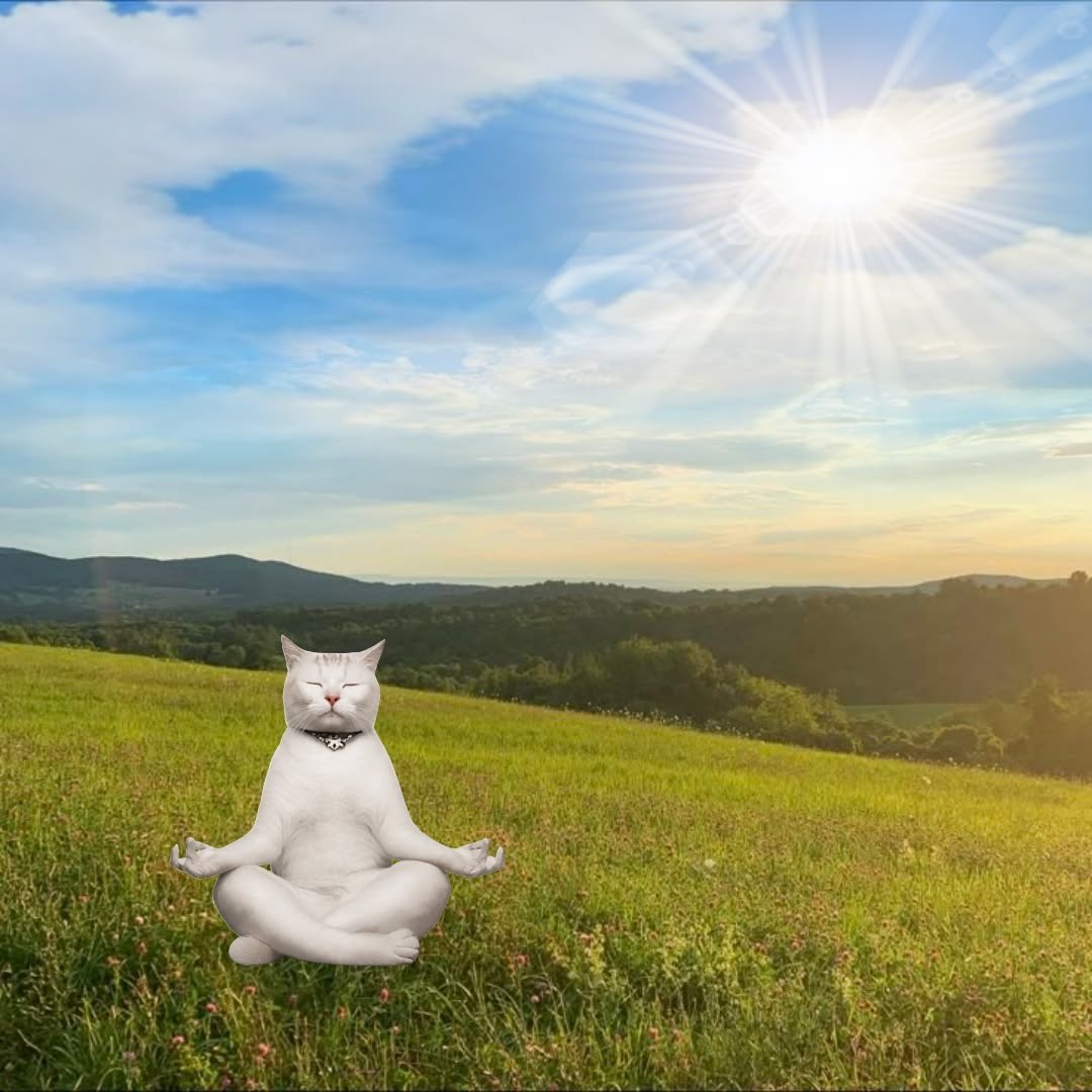CryptoJonesRC's tweet photo. Gonna spent all day with my family and chilling in the sun🌞 https://t.co/t438fZGepn