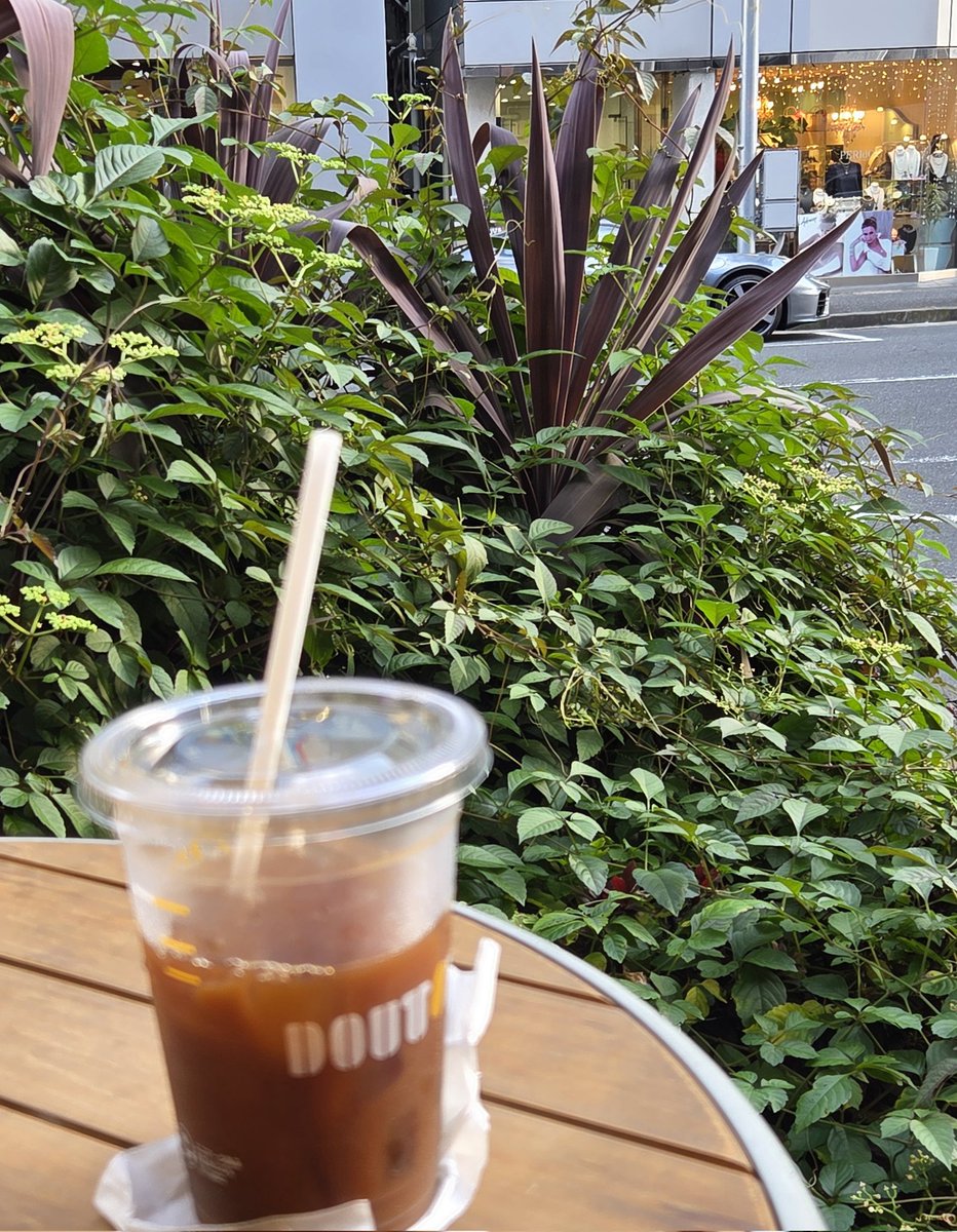 Akatsuki_Row's tweet photo. スタバNow　植栽越しの911ほぼ見えない　風が心地良い　まさに天然クーラーww https://t.co/E09WY8ZuVZ