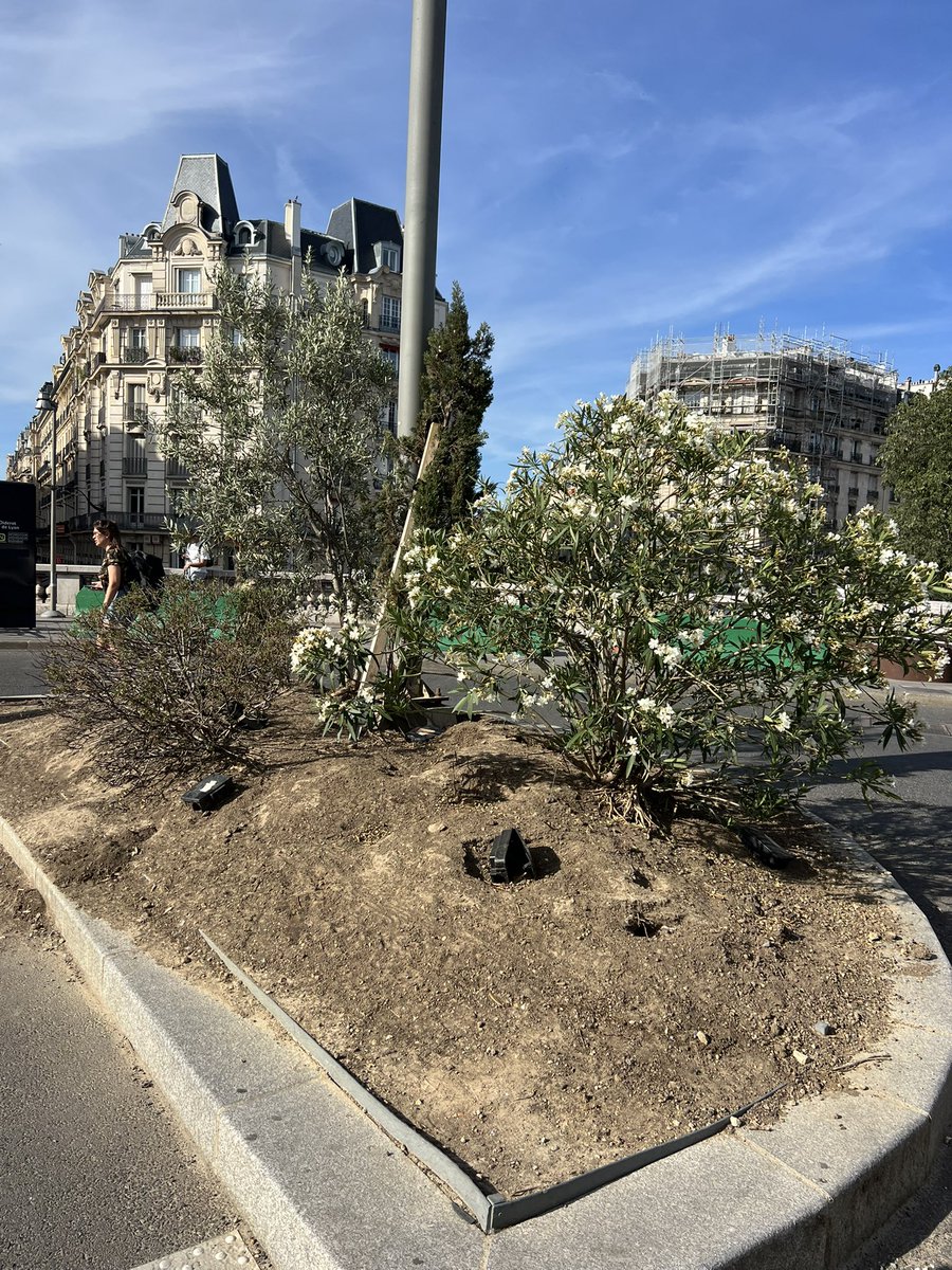 DeparisJulien's tweet photo. Deux façons de gérer une ville par 35°:
- Paris pilotée par @egregoire (parvis de la gare de Lyon, dimanche 5 juillet), après 12 années de travail acharné avec Anne Hidalgo pour adapter la ville au changement climatique 
- Heidelberg 🇩🇪 ce samedi 11 juillet. 

Que préférez-vous? https://t.co/KbjtiupF3w