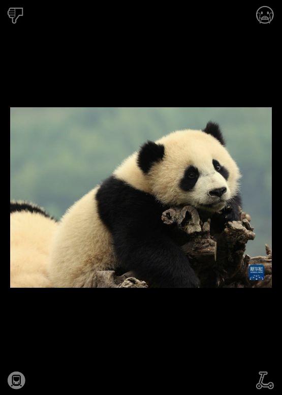 primal_brah's tweet photo. 与同事打完篮球后，Elara 脸红着向他道谢。随后两人静静地坐着，注视着花园，聆听着周围的声音，享受着彼此陪伴、志趣相投且被理解的宁静舒适感。 https://t.co/WSlQjK5zt1