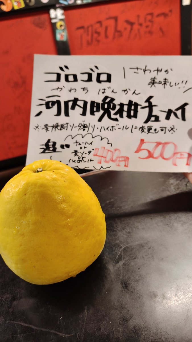 izakaya_furuya's tweet photo. 本日も！ぼちぼち
居酒屋営業やってます～

大好評爆発中
【 河内晩柑チューハイ 】
まだありますので！ぜひとも～

煮豚丼とか
さば味噌チーズ焼きとか
他にも人気メニュー多数！

遊びに来てね～ https://t.co/ZXfRmTLRHk
