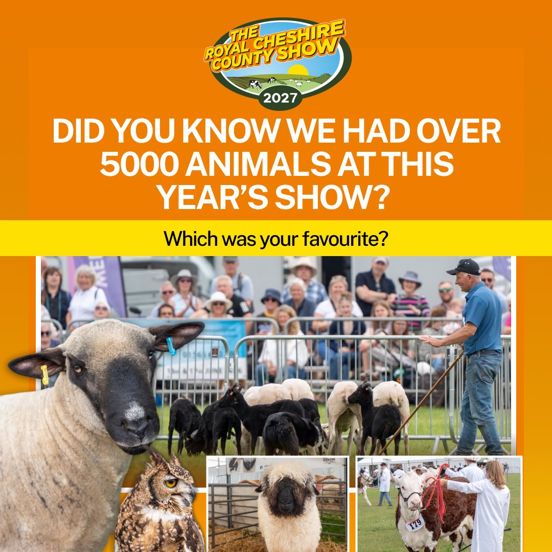CheshireShow's tweet photo. Did you know there were over 5,000 animals at this year’s Royal Cheshire County Show? 🤩

With such an incredible variety of animals on show, we’d love to know…

Which was your favourite? 🐾👇

#farming https://t.co/aCvueo82uV