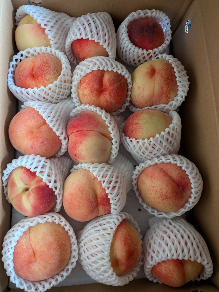 akstrz191's tweet photo. もももももももも🍑！！！
すごいいっーぱいありがと✨️🥰 https://t.co/BmWsIs8WHq