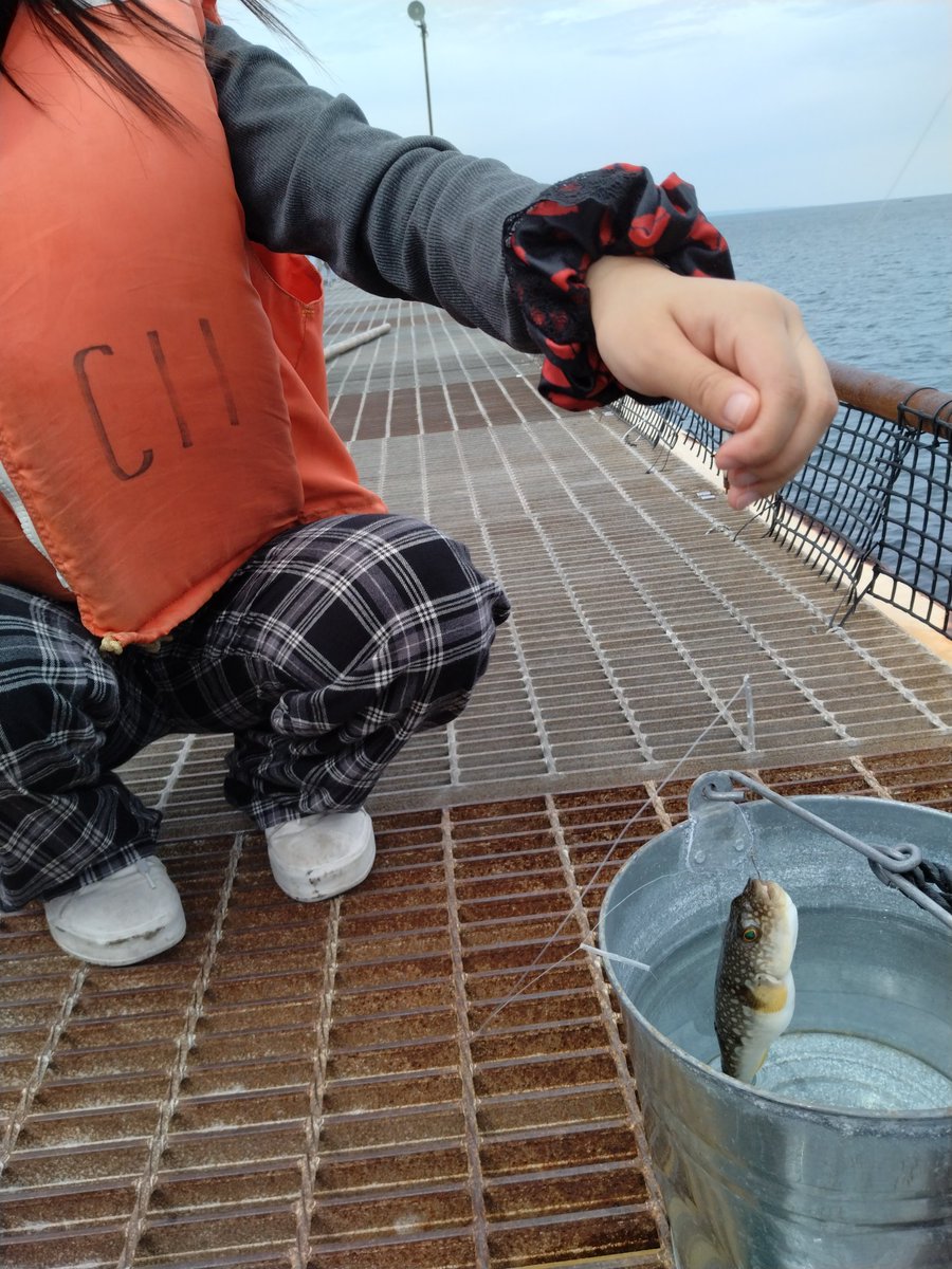 love8023's tweet photo. 釣りセンターで！あと、別でフグ2匹の釣果💦なんか、スタッフさんが周りの人にどうですか〜とか声かけてるんですよ。でも、私達には、、、そら、無言でイソメ引きちぎってるからね。。。 https://t.co/p2Ae2U0imT
