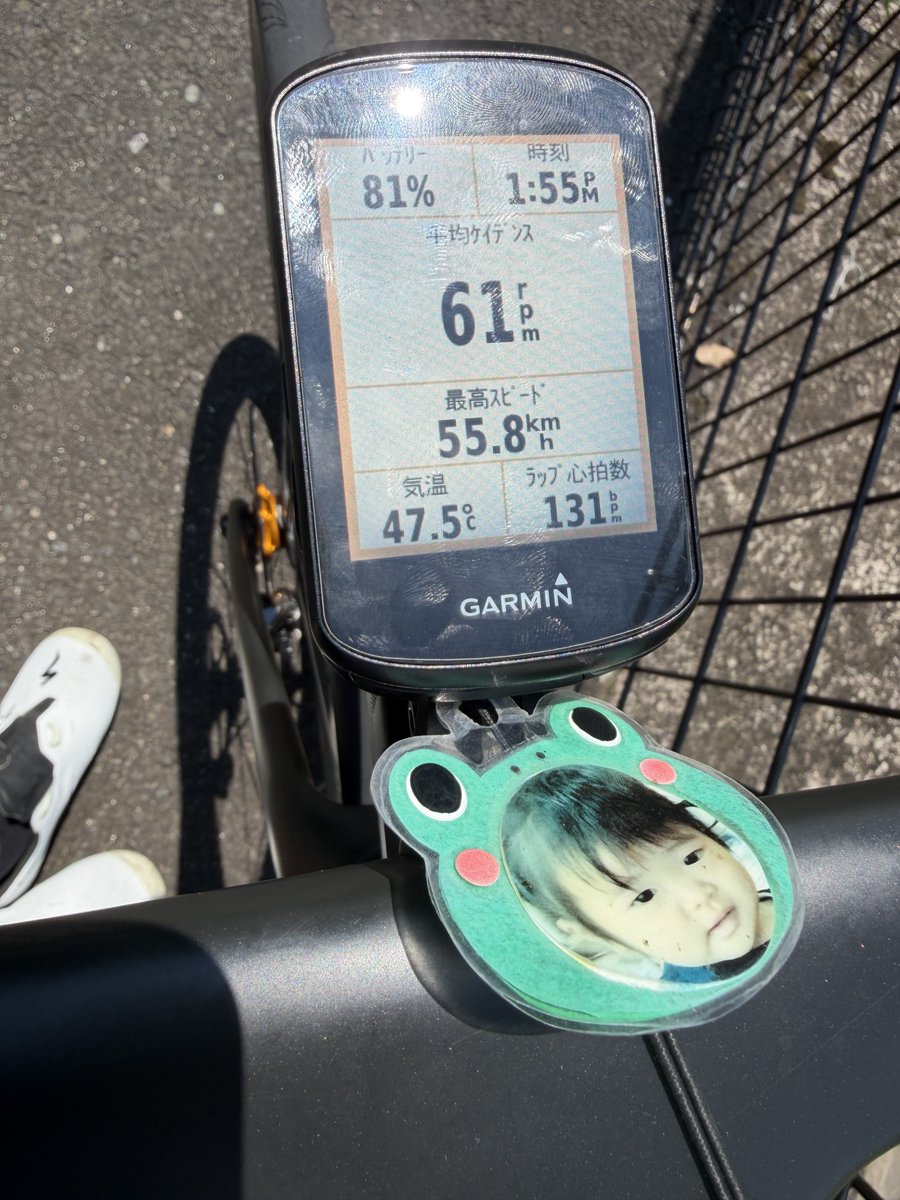 warsman30's tweet photo. 夏だぜ https://t.co/mn5wVWDXAn