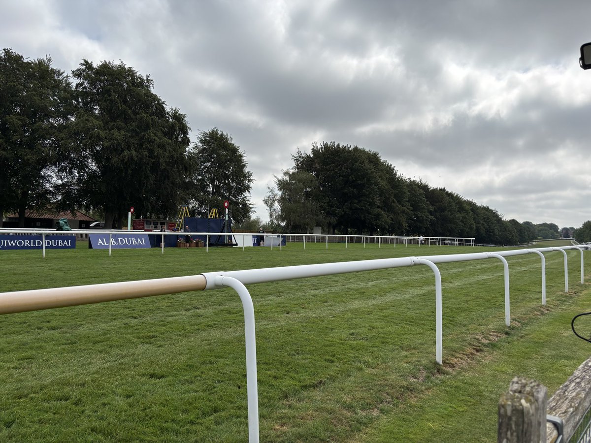 Smido11's tweet photo. Soon be the July Cup. 
🐎 https://t.co/vKFaMHpTAs