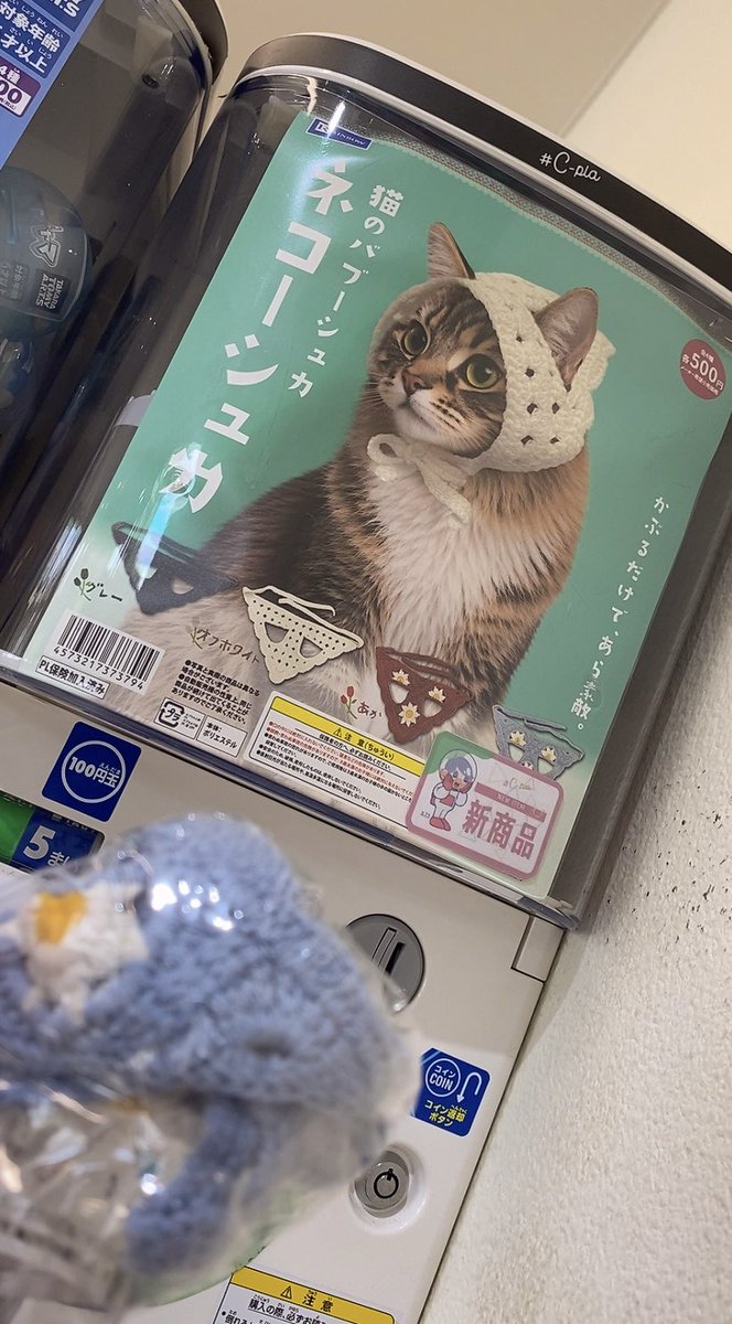 kantikin's tweet photo. ﾈｺｰｼｭｶ、パンパン頭巾ちゃん https://t.co/8AExYcHSvI