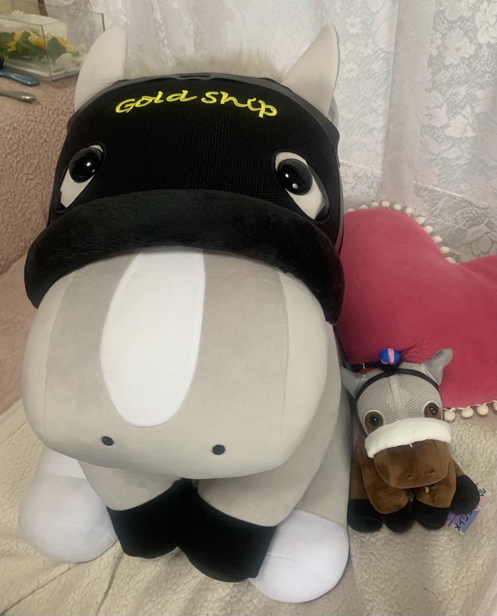 yukinoHakue's tweet photo. 7月11日は世界馬の日💕

一生懸命走る姿🏇
表情豊かなお顔やボディ🐴
たーくさんの癒し💕
本当に本当に存在してくれて���りがとう❣️🥰

全てのお馬さんが最後まで元気で安心して過ごせる世界になりますように🙏 https://t.co/IG6DDcUGDl