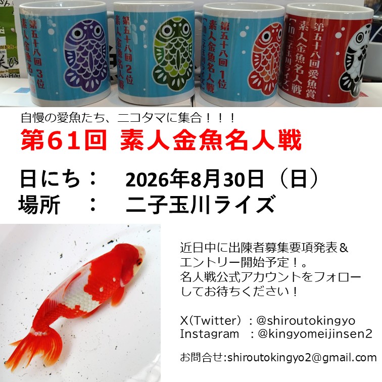 shiroutokingyo's tweet photo. 素人名人戦、今年も二子玉川で開催決定！
近日中に出陳エントリー開始予定です。
公式アカウントをフォローの上お待ちください！
みなさん自慢の愛魚たち、二子玉川に集まれ！ https://t.co/7k5ZbIWkzM