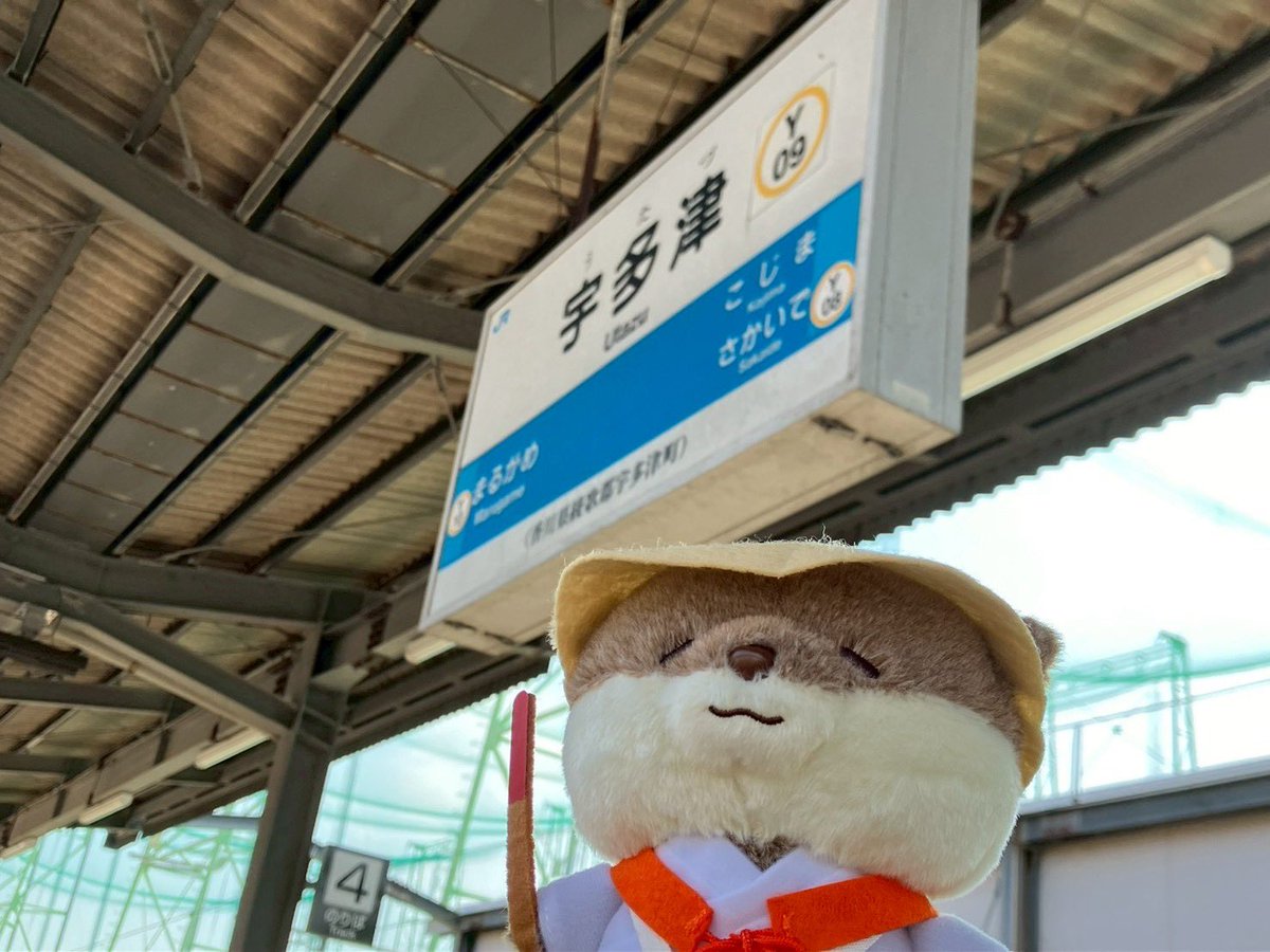 aostaro_5's tweet photo. 激カワぬいすぎて、どこで撮っても映え(一目惚れお迎え) https://t.co/YC0BSJKIJC