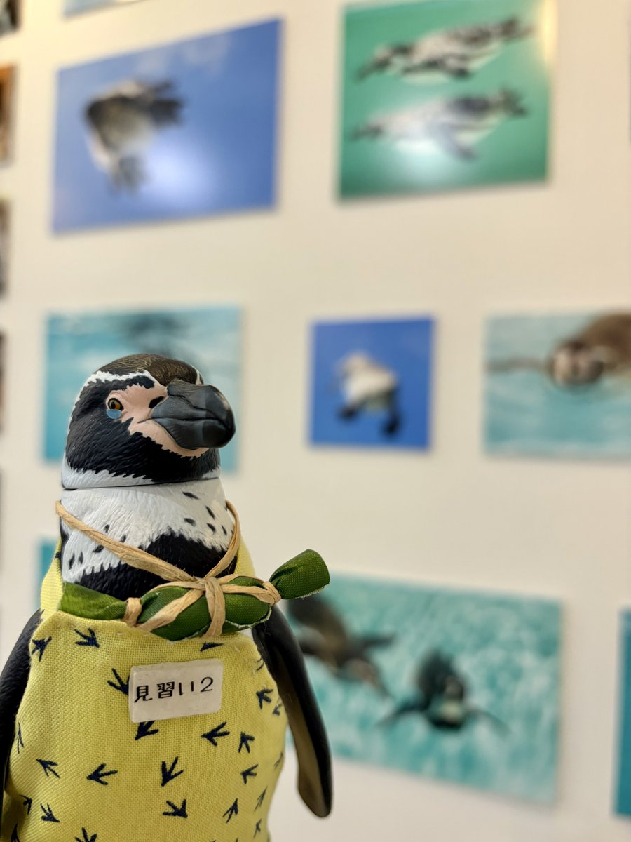 _98pen's tweet photo. ペンぎょ展、ジャックするぼぇぇぇぇ！

(数日続くかも)
 
 #ペンぎょ展 https://t.co/GzRwVNgCFE