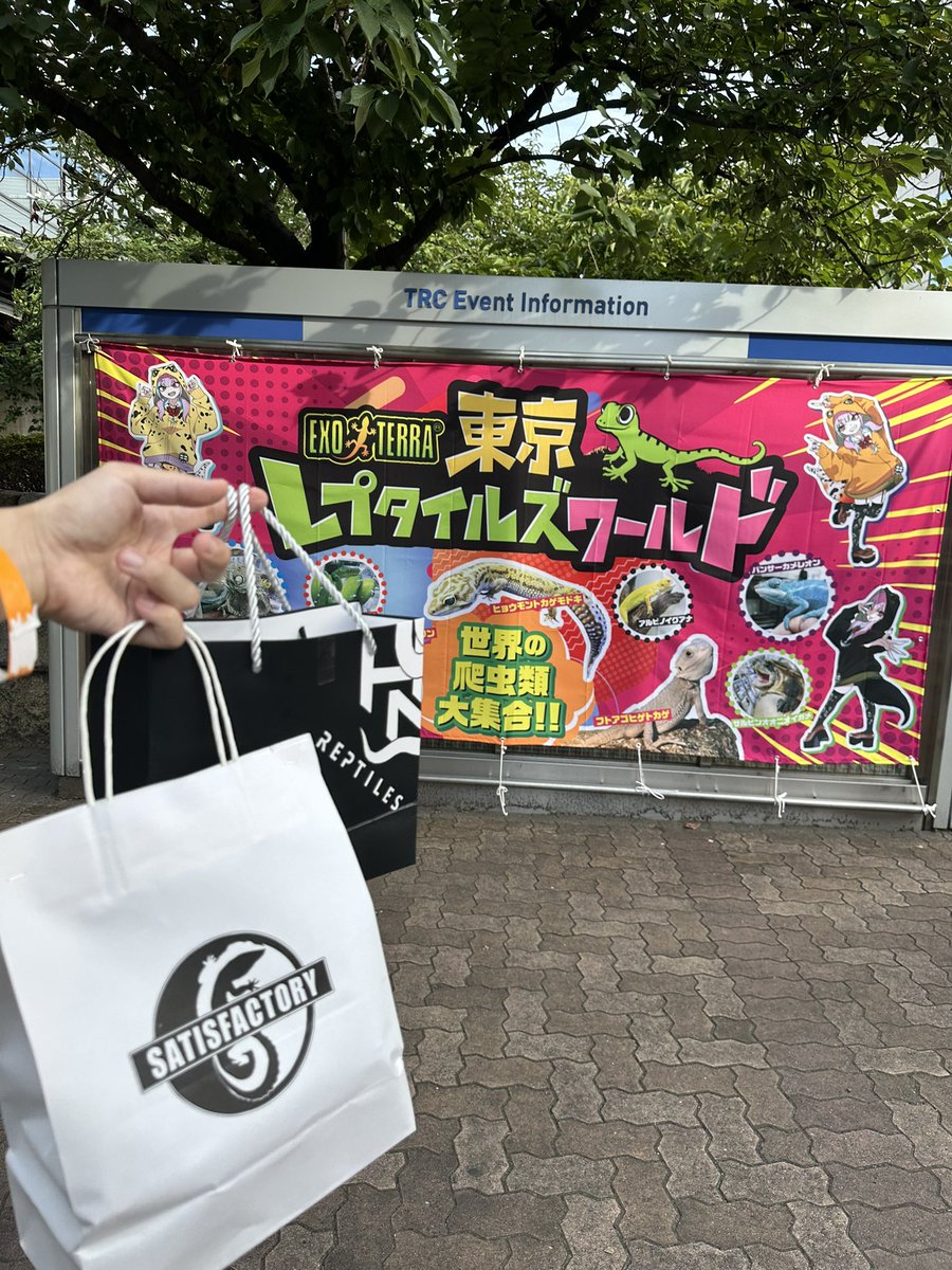 Snake_Gecko777's tweet photo. 初心を忘れられない https://t.co/1pMe92r8ha