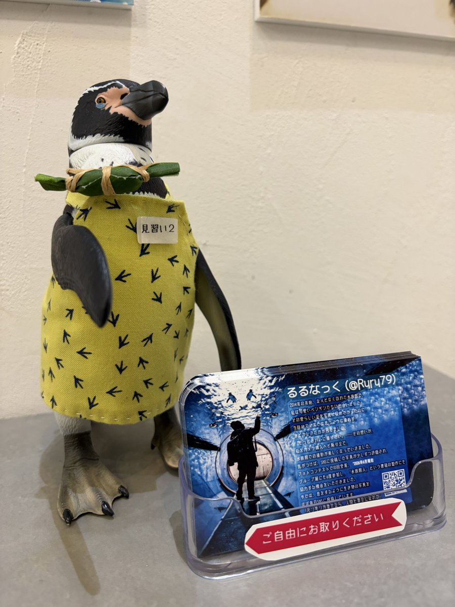 _98pen's tweet photo. ペンぎょ展、ジャックするぼぇぇぇぇ！その②

るるなっくさんのお写真！
相変わらず大迫力ぼぇぇぇ！

 #ペンぎょ展 https://t.co/cbAbRrBIRX