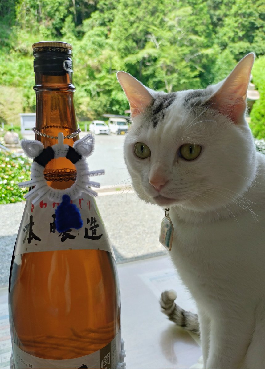 テンちゃん 本日の勤務態度 本日もたくさんの差し入れを頂きました