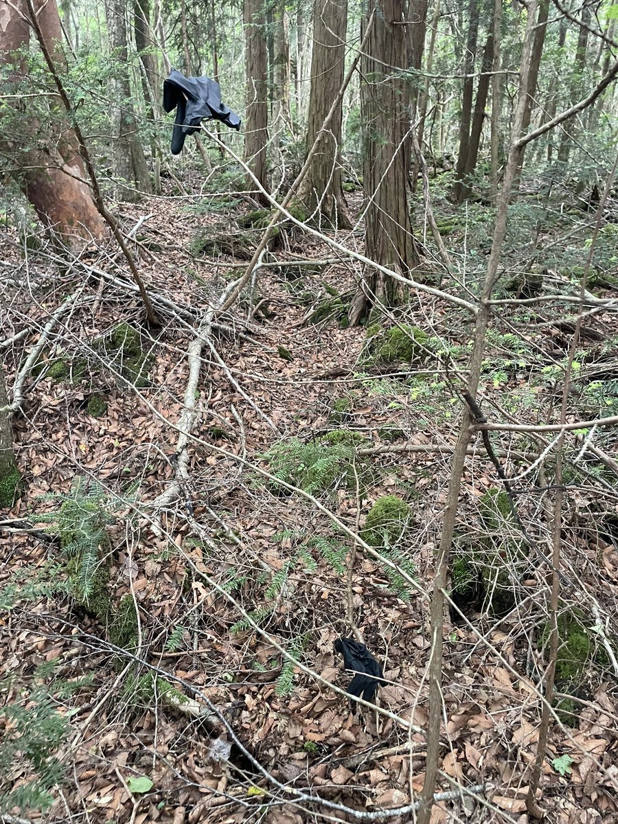 wasuretagano's tweet photo. あとなんか黒のゴム手袋がぶら下がってたのだ、全部で6枚
6本腕？阿修羅マンなのだ https://t.co/cIPEz2b6CT