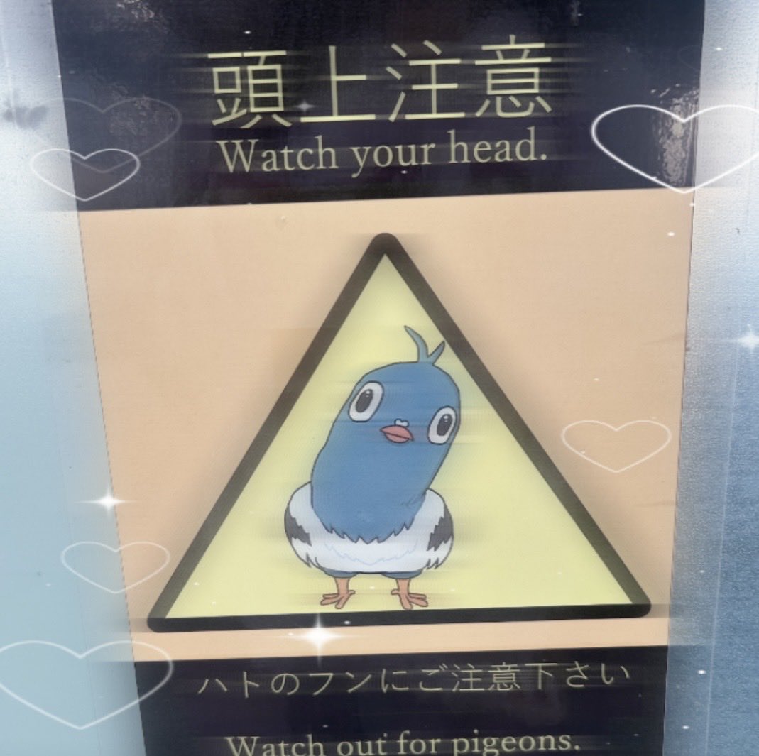 moest_htr's tweet photo. 駅にこの張り紙あったんだけど鳩の顔が全然申し訳そうじゃなくておもしろかた(◜ᴗ◝ ) https://t.co/CkYILVKVMl