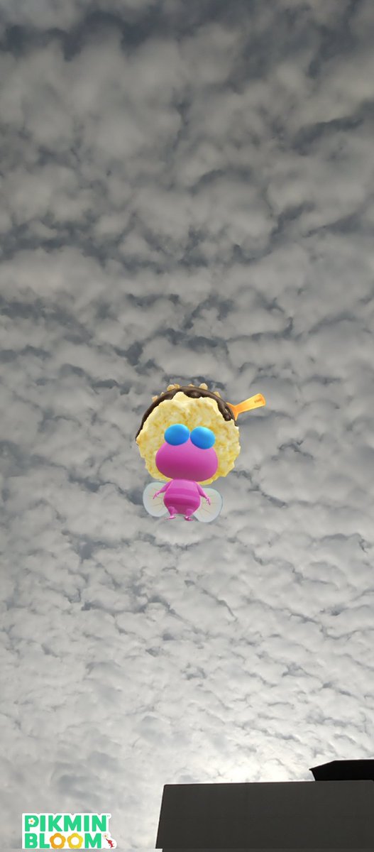 GoldenPiony's tweet photo. ☁️☁️☁️
#ピクミンブルームARフォト部 https://t.co/peXTYlWR8e