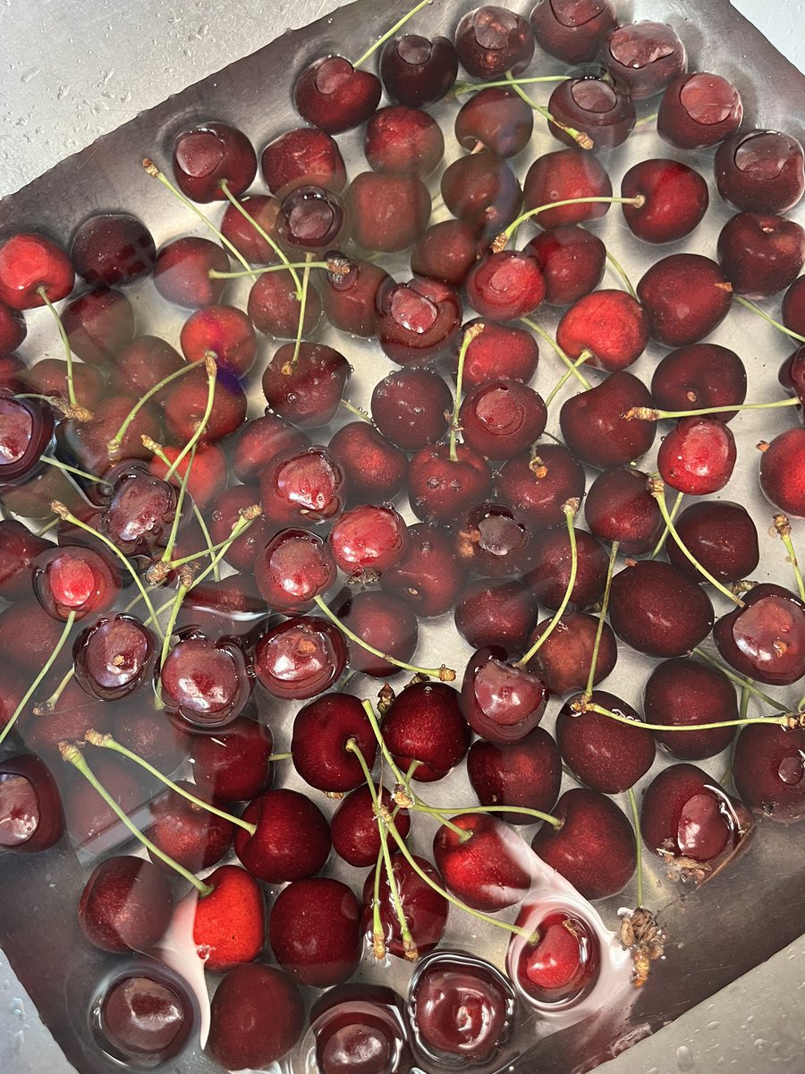 RonjaAnja's tweet photo. Yum yum 🙂🍒🌸 https://t.co/84mSxpayf1