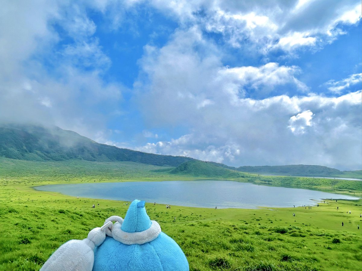morimori_necoco's tweet photo. でぶみちの阿蘇観光 🚗🌋🐂🍦🌿 https://t.co/bEGjYKZ4e1