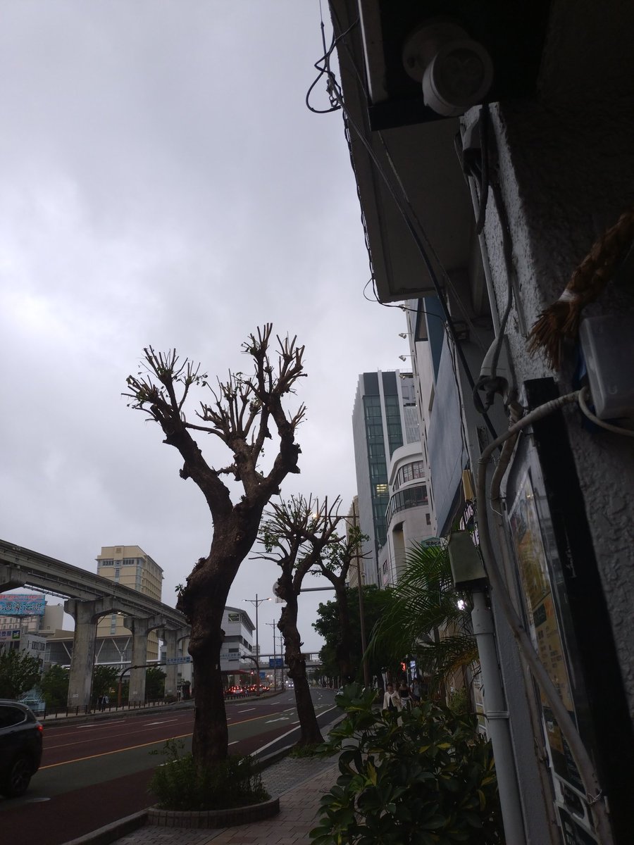 utawanto's tweet photo. こんばんは☁️
台風9号が通り過ぎました🌀
まだ風が強いので、ご来店の際には気を付けてお越し下さいね🍀

メンバー🔽

・まこと
・ふんぬ
・ゆうな（後から）
・へる美（後から）

でお待ちしております🙇‍♂️

※あすかさんは、都合によりお休みとなりました🙇

#沖縄カラオケバー
#那覇カラオケバー https://t.co/0QDSEQK2vc