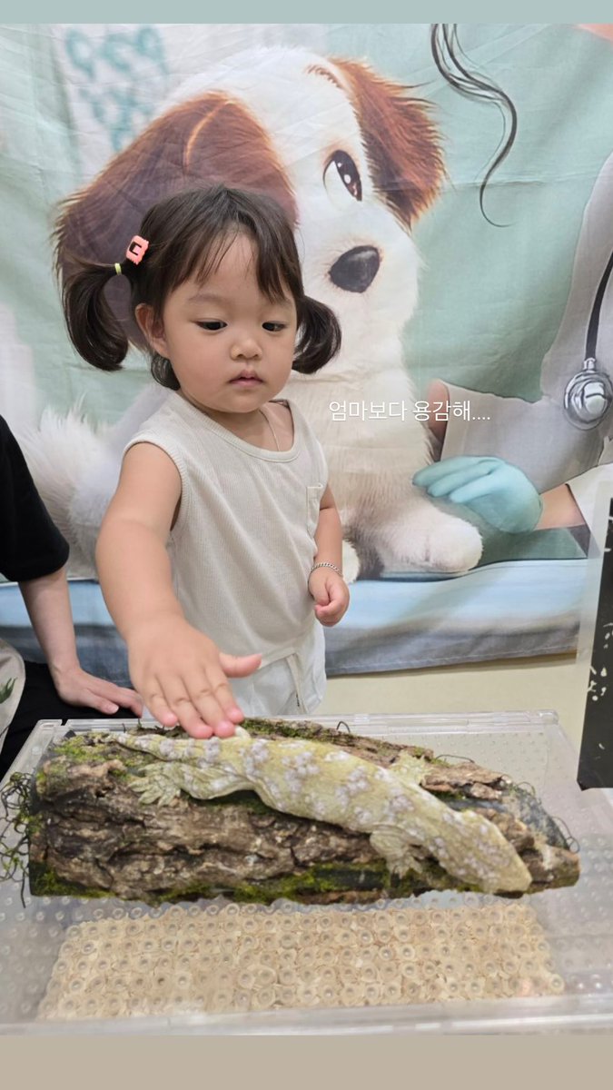 nekonajammieung's tweet photo. บมมี่เก่มมาดอ่ะ เพราะยายยังม้ะกล้าจับเลยลูก 😭😭😭😭😭 https://t.co/VHp3jpgRSk