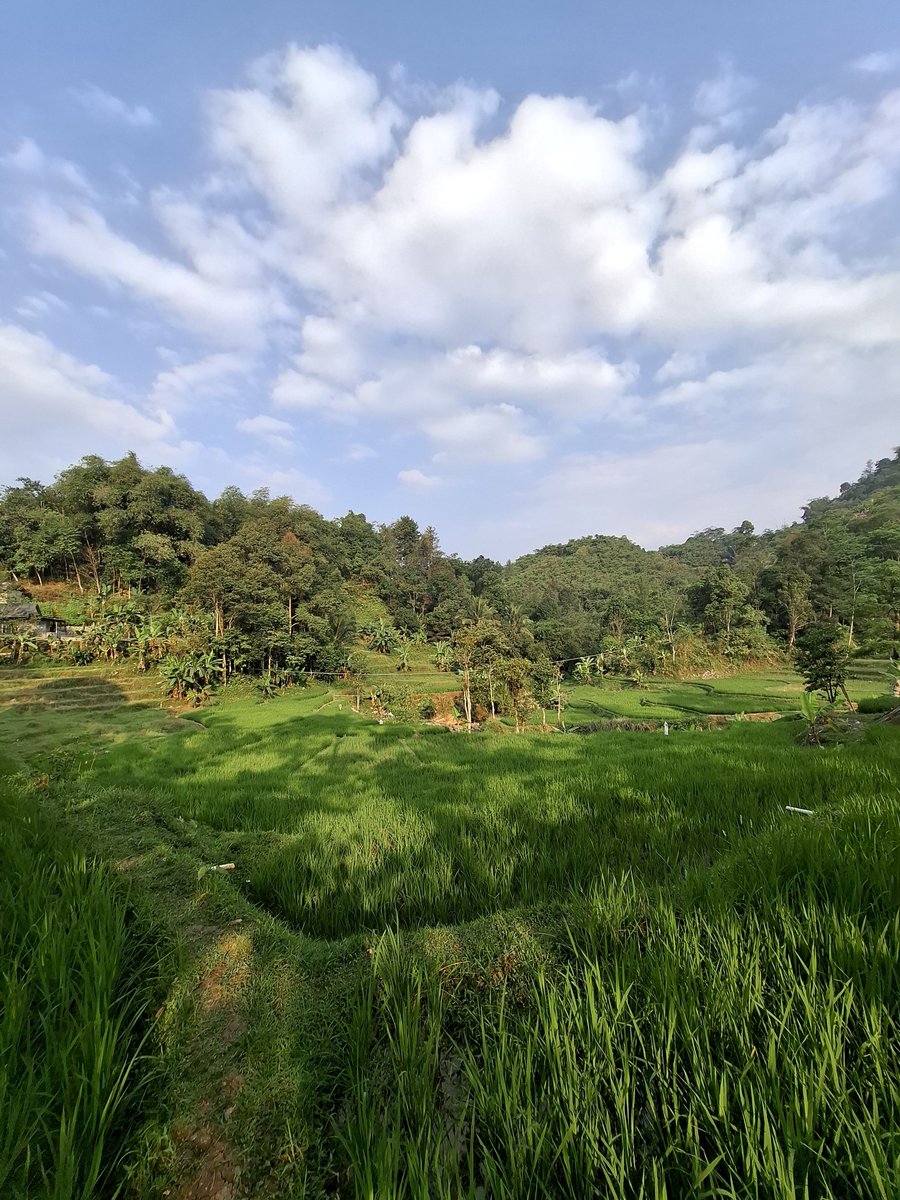 HelloSystemD's tweet photo. Sore-sore, ngelamun di sungai. https://t.co/lsGu0anE3P