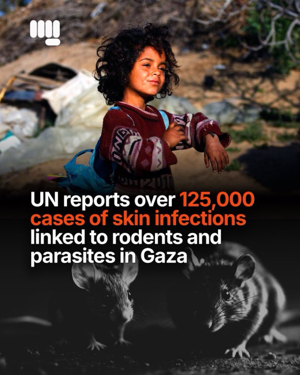 shameensuleman's tweet photo. 🟥 UPDATE NUMBER ONE | 11 JULY 2026

🔳 Sources: Palestinian Ministry of Health – Gaza | Journalists on the Ground

🟥 GAZA

🔳 The Palestinian Ministry of Health has warned that Gaza’s transport and ambulance system is approaching complete collapse. What remains of the transport and ambulance fleet is no longer capable of meeting daily needs. Around 70% of vehicles have been taken out of service, either after being directly targeted by israeli attacks or through accumulated mechanical failures made worse by the continued denial of spare parts.

▪️The Ministry says it is becoming increasingly difficult to transport both patients and healthcare workers, with no safe alternatives available. It warned that the continued prevention of tyres and spare parts entering Gaza could result in the complete paralysis of the medical transport system, placing even greater pressure on hospitals already operating under extreme conditions.

▪️Buses operated by transport companies contracted by the Ministry of Health are also functioning under severe mechanical strain. Routine maintenance has been suspended for months because replacement parts remain unavailable. The Ministry warned that any further disruption to transport services will directly affect the ability of medical staff and patients to reach healthcare facilities.

🔳 The Palestinian Ministry of Health has released its latest casualty figures covering the past 48 hours.

▪️Hospitals across Gaza received 7 martyrs (6 newly killed and 1 body recovered from beneath the rubble) and 28 injuries.

▪️The Ministry again stressed that many victims remain trapped beneath the rubble or lying in the streets, while ambulance and Civil Defence crews remain unable to reach them.

🔳 Since the ceasefire of 11 October:

▪️1,098 martyrs
▪️3,535 injuries
▪️800 recovery operations

🔳 Since 7 October 2023:

▪️73,221 martyrs
▪️173,643 injuries

▪️The Ministry also confirmed that 96 additional martyrs have been added to the cumulative death toll after their identities and records were completed and formally verified by the Martyrs Verification Committee during June.

🔳 The Ministry of Health has invited media organisations to attend an important press conference on the worsening transport and ambulance crisis.

▪️The conference will take place on Sunday, 12 July 2026, at 10:00am, outside the Central Transport Station for Ambulance and Emergency Services beside Palestine Stadium in Gaza City, where officials are expected to outline the consequences of the collapsing transport network on Gaza’s healthcare system.

🔳 Four-year-old Little Sonds is suffering from chickenpox, becoming one of the latest faces of Gaza’s deepening public health emergency.

▪️Thousands of cases of chickenpox are now being reported across refugee camps and displacement centres throughout the Gaza Strip. Medical and international organisations have warned of a rapidly expanding outbreak driven by extreme overcrowding, the collapse of sanitation systems, limited access to clean water, and severe shortages of medicines.

▪️For most children around the world, chickenpox is a manageable childhood illness. In Gaza, where healthcare has been systematically devastated and families are living in overcrowded tents with little protection from disease, even common infections can quickly become life-threatening, particularly for young children, pregnant women, and those with weakened immune systems. The outbreak adds another layer to the humanitarian and healthcare crisis already overwhelming the Strip.