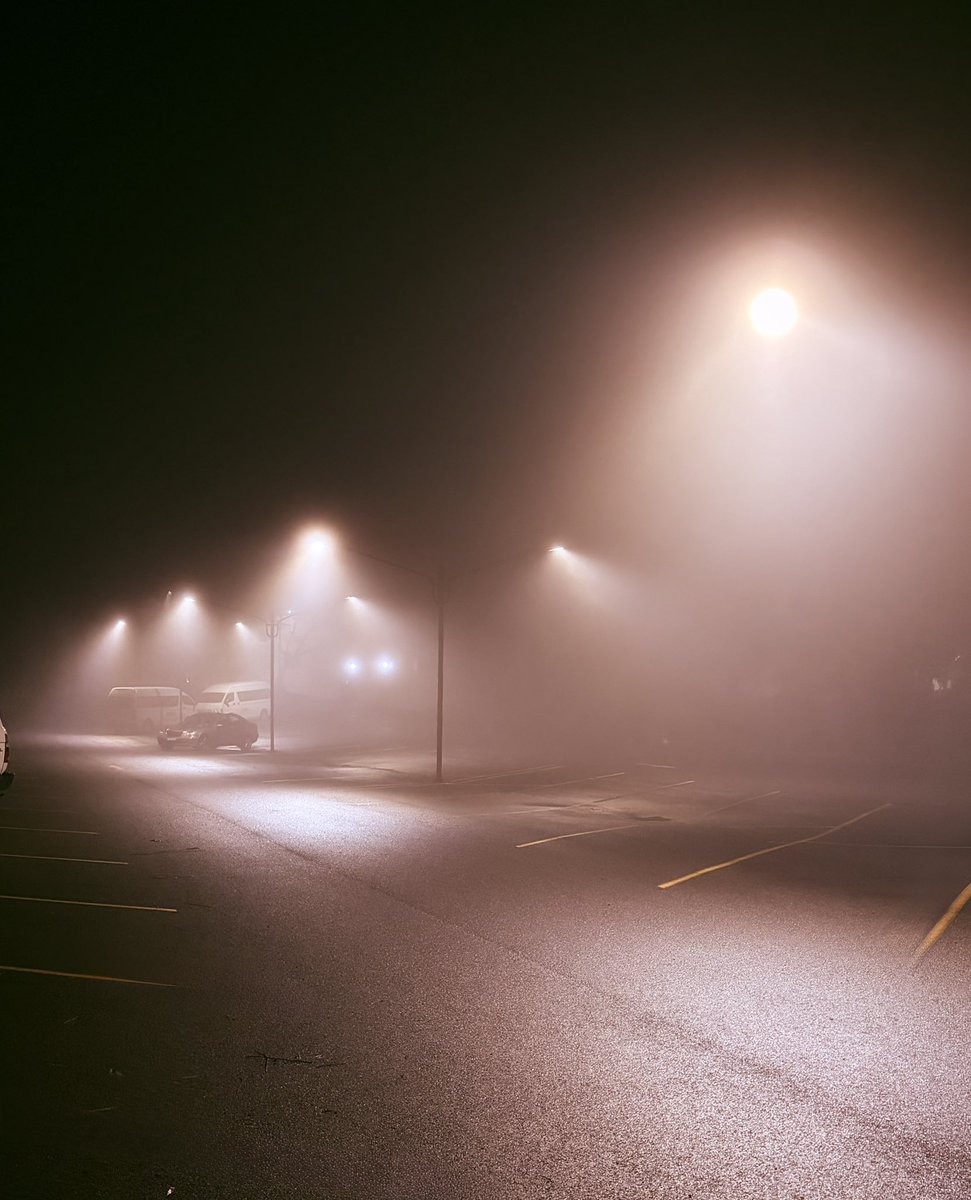 fromyardtotable's tweet photo. 3am fog https://t.co/WpHIOKp0vK