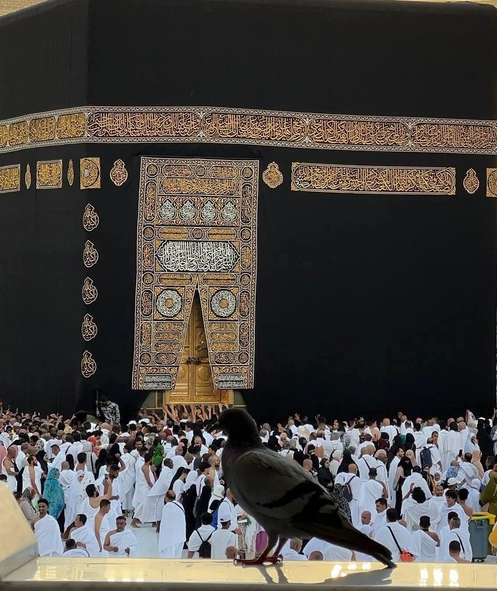 Umaima_g's tweet photo. Allah

Allah

Allah

Allah

Allah

Allah

Allah

Allah

Allah

Allah

Allah

Allah

Allah

Allah

Allah

Allah

Allah

Allah

Allah

Allah

Allah

Allah

Allah

Allah

Allah

Allah

Allah

Allah

Allah

Allah

Allah

Allah

Allah

Allah

Allah

Allah

Allah

Allah

Allah

Allah https://t.co/BvuoRPi6E3