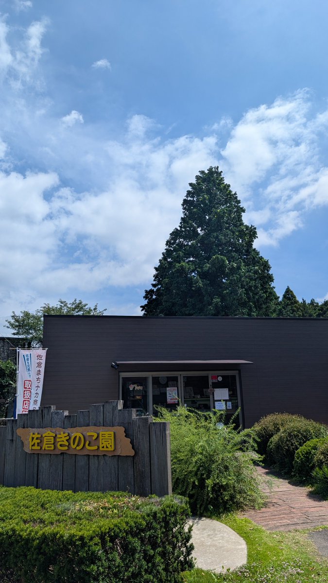 gr4gou's tweet photo. 佐倉きのこ園！
珍しい白いキクラゲと椎茸購入♪ https://t.co/5xDZAedVPS