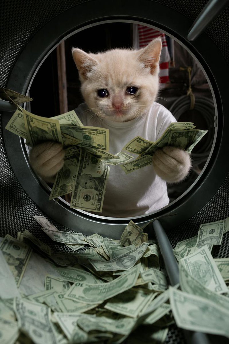 Cashkitten_RH's tweet photo. Big plans to moon $CASHKITTEN! https://t.co/tuo1okZgRE