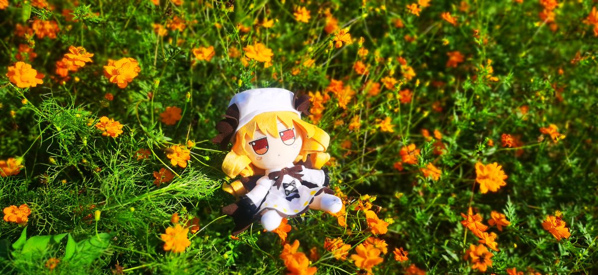 TK (@TKwithFUMO) / Posts / X