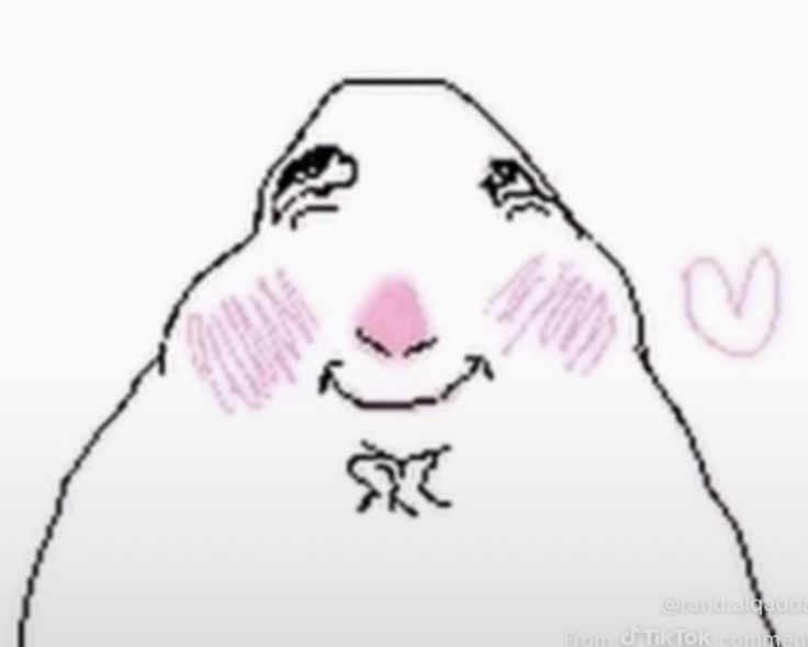 cocodrilovante's tweet photo. No sé asusté si repondo rápido de la nd es que no tengo amigos y me caen super bien ustedes 💔 https://t.co/TlHzVQGExB