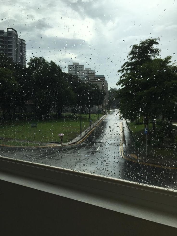 drippy0x's tweet photo. gm fam ☕️ 

Weekend plans were to touch grass.

Rain said, “timeline instead” https://t.co/HHEVUo10Pl