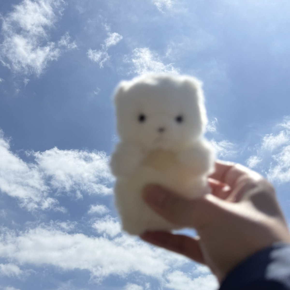 mfmf_nui's tweet photo. ぶれぶれ https://t.co/yF5ItbVxfs