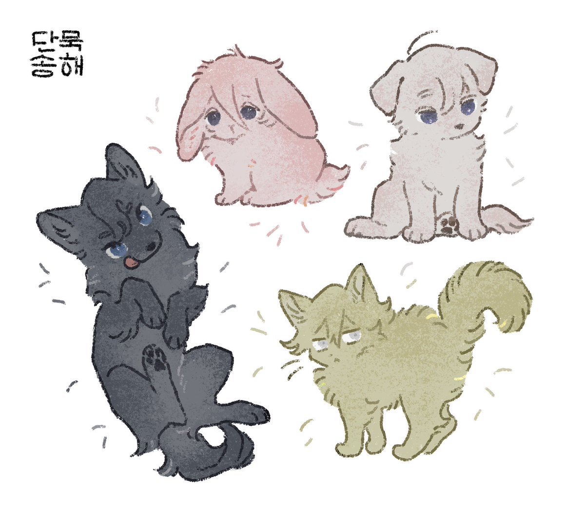 sureamy_'s tweet photo. 털복실이들 https://t.co/uwsXofI9VM
