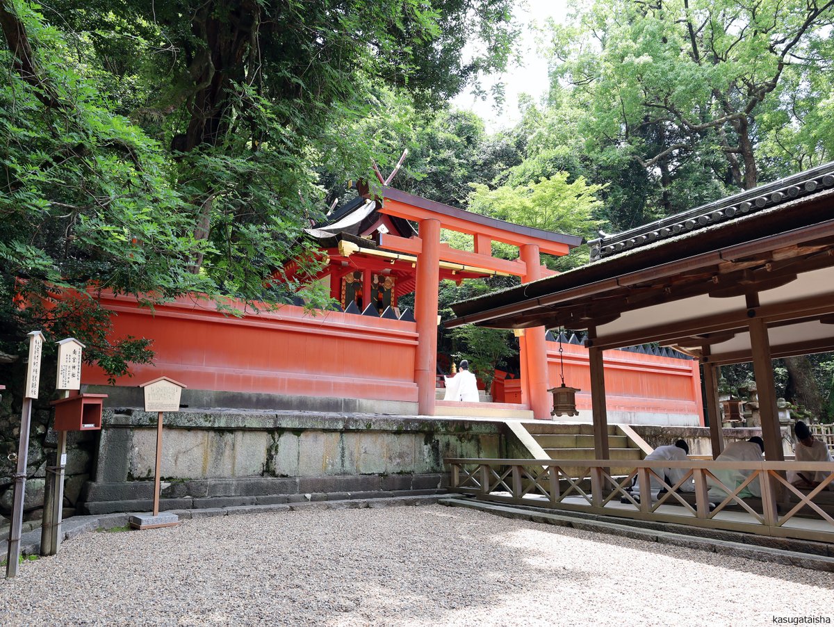春日大社 kasugataisha shrine tweet media