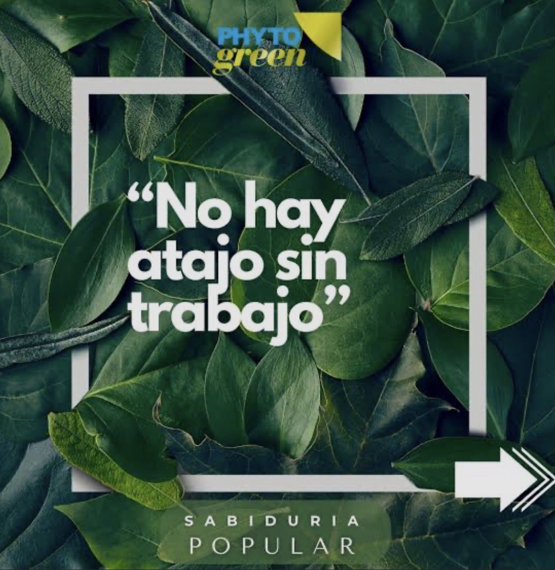 Spiro_core's tweet photo. Les tengo malas noticias 👀si usted improvisa al estilo jazz no venga a creérselas de que puede improvisar en cualquier otro estilo o género musical. Le toca apartar turno en la escuela de ese género, hacer la fila, tomar nota y aprobar los cursos!!! https://t.co/VR7mYoX4F7