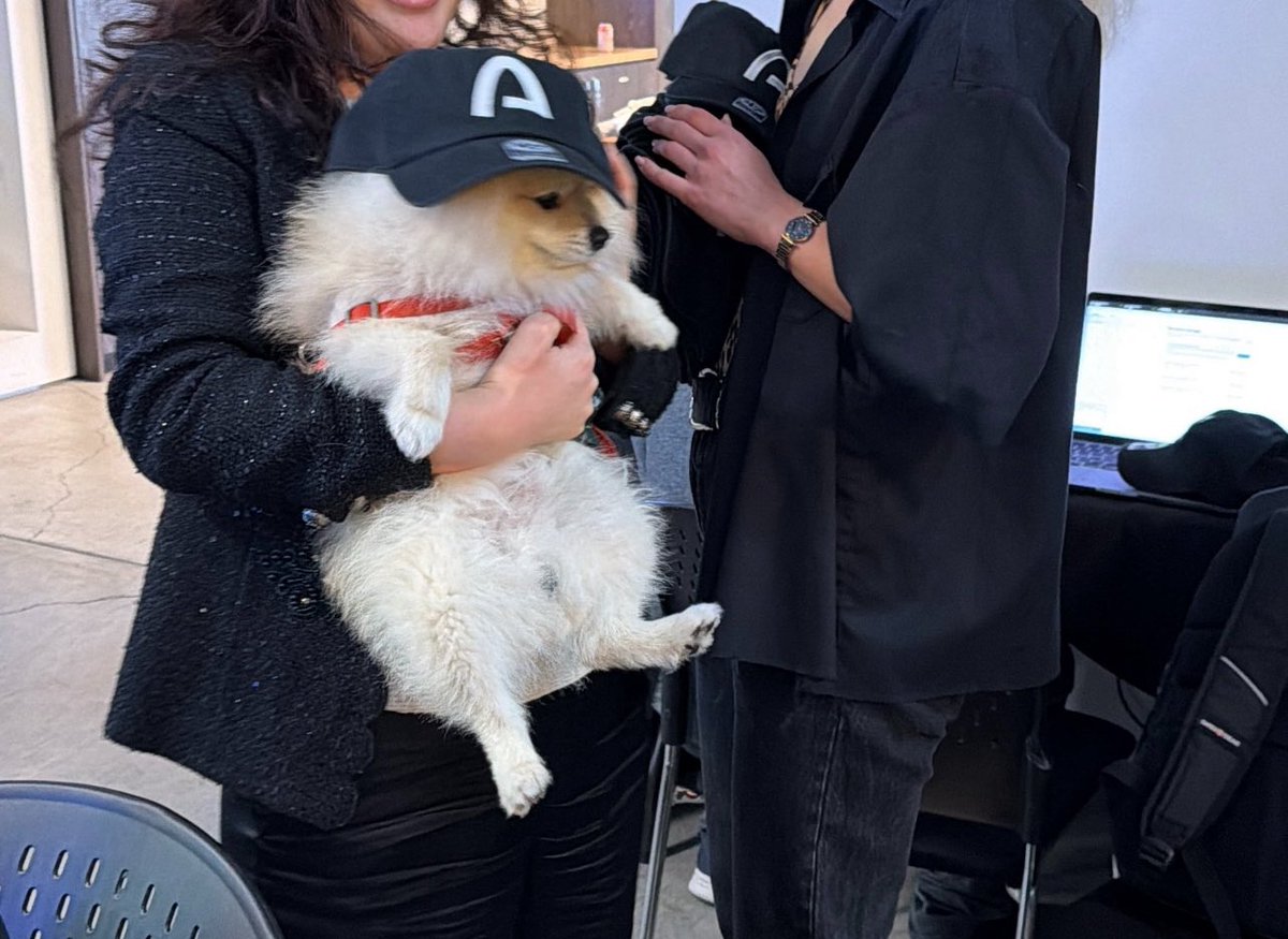 0xviet tweet media