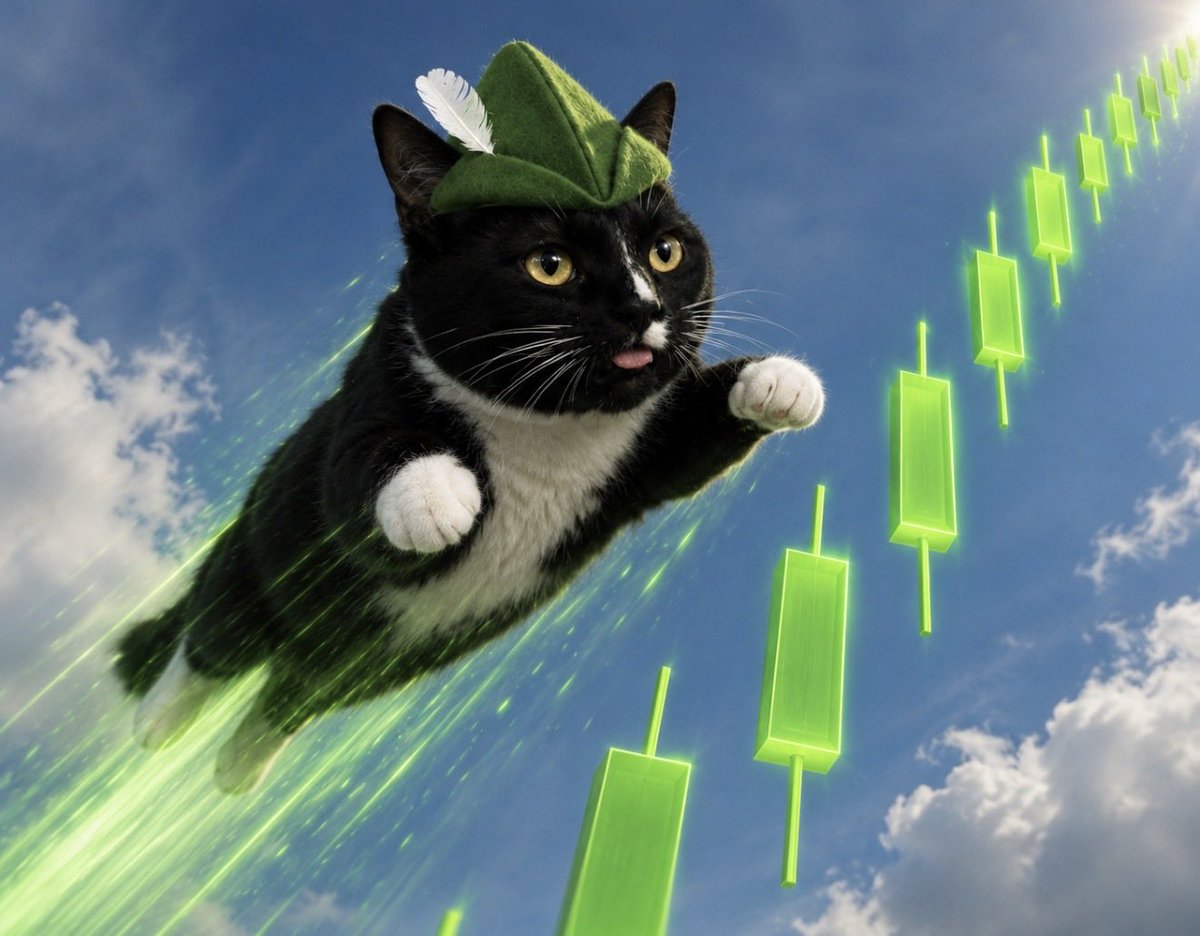 WifBycocket's tweet photo. $Wif is @vladtenev's own pet wearing the hat that inspires the whole Robinhood franchise - Bycocket! 

Early?! 🐱 https://t.co/xzI9Os60dB